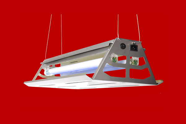 ELEKTRO FROG FI 0570